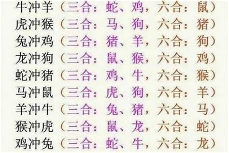 生效六合|十二生肖的“六合”“三合”是什么意思 看完你就懂了